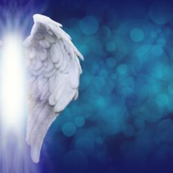angelic wings background