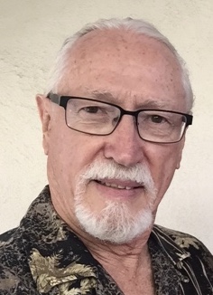 What is the purpose of NDES, and the future for humanity in this time of chaos?